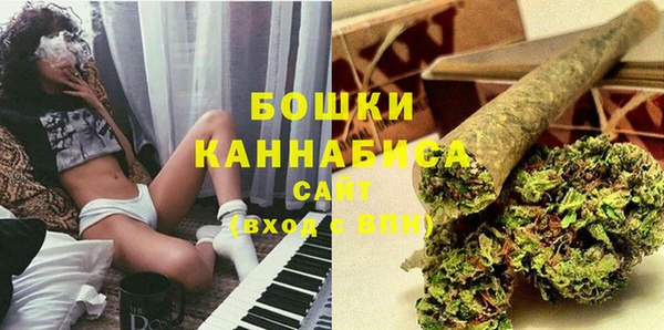 крисы Гусь-Хрустальный