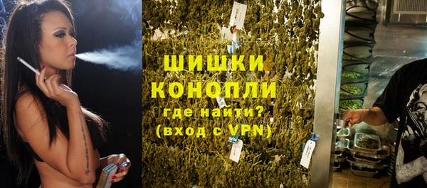 крисы Гусь-Хрустальный