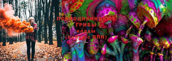 jwh Гусев
